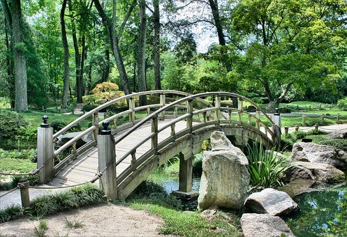 Bridge, Japanese Garden, Arch, Park