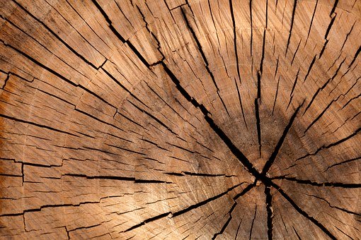 Lumber, Wood, Tree Log, Tree, Brown, Cut