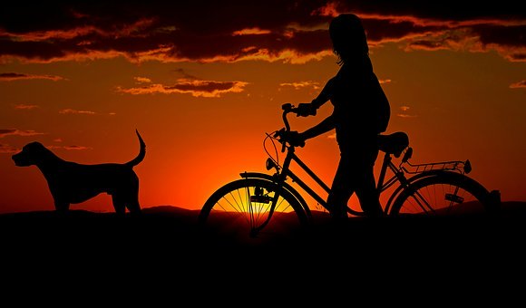Woman, Girl, Bike, Sunset, Walk