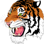 sumatran tiger 152172 340